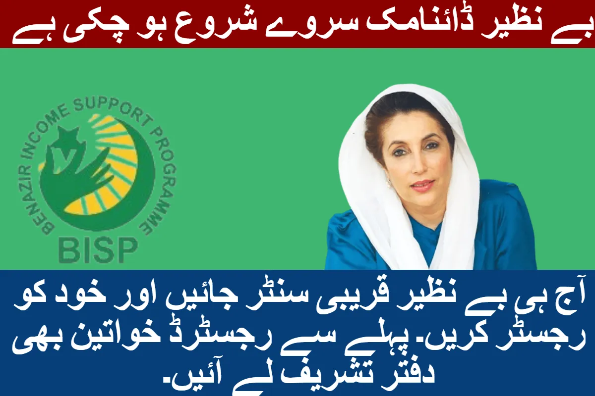 bisp dynamic survey 2024